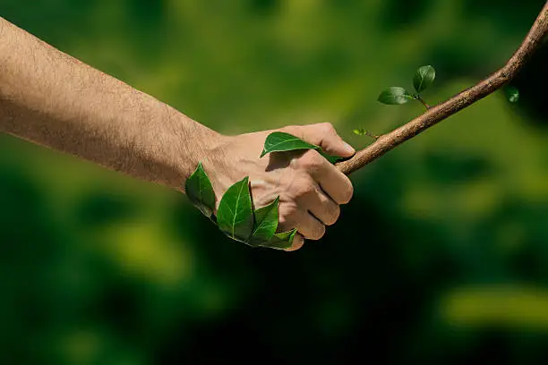 istockphoto-485558234-612x612